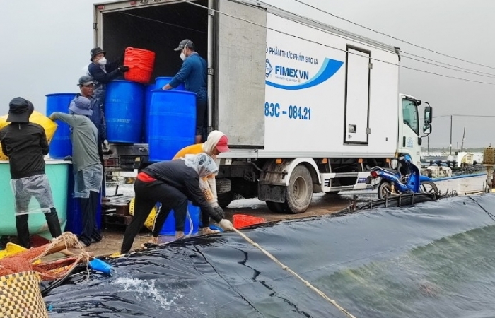 Xuất khẩu tôm sang EU tăng đột biến