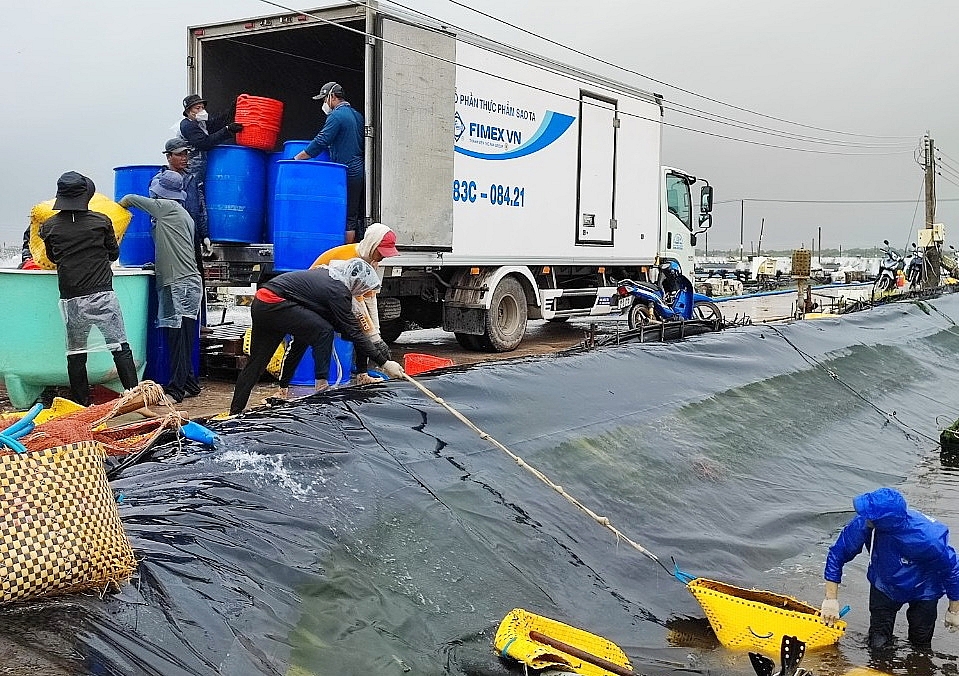 Xuất khẩu tôm sang EU tăng đột biến