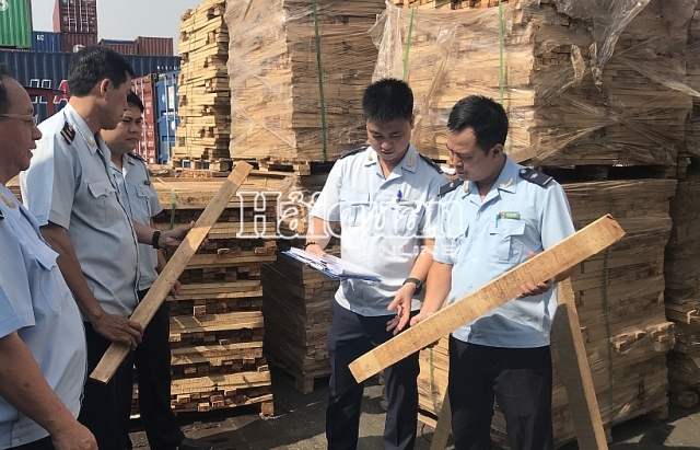 Hải quan TPHCM bắt 1.000m3 gỗ xẻ xuất khẩu, trốn thuế gần 3 tỷ đồng