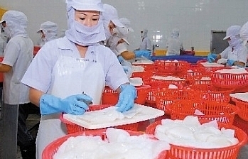 Hàn Quốc là thị trường nhập khẩu mực, bạch tuộc lớn nhất của Việt Nam