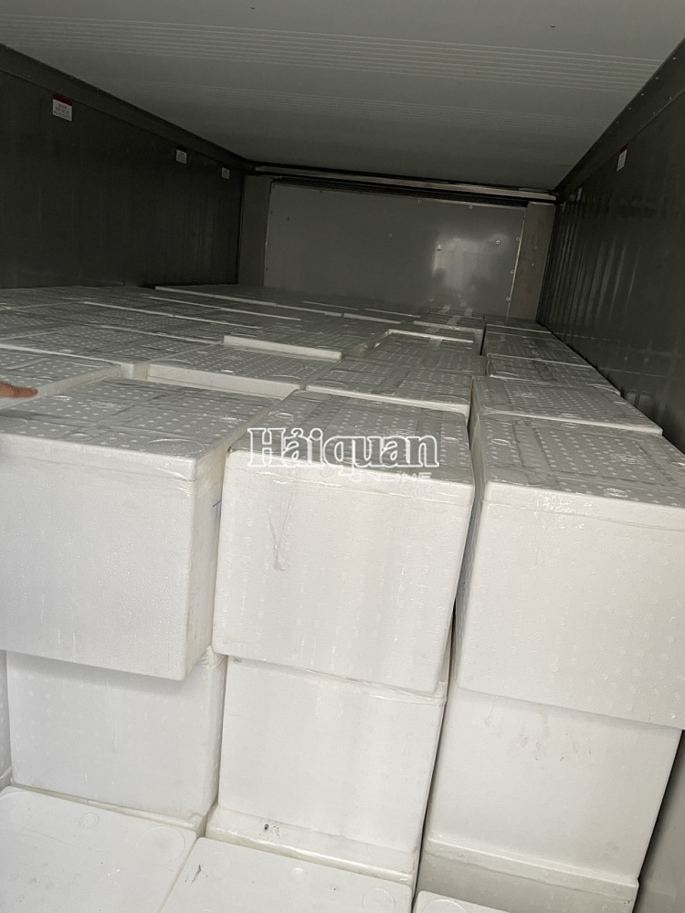 Cận cảnh kiểm tra lô hàng xuất lậu thuốc lá trong container rau quả