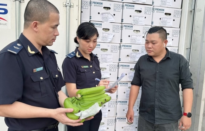 Doanh nghiệp chủ động quyền được xác định trước mã HS