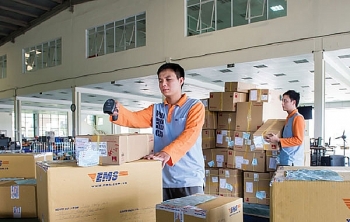Sôi động dịch vụ vận chuyển quà Tết ra nước ngoài