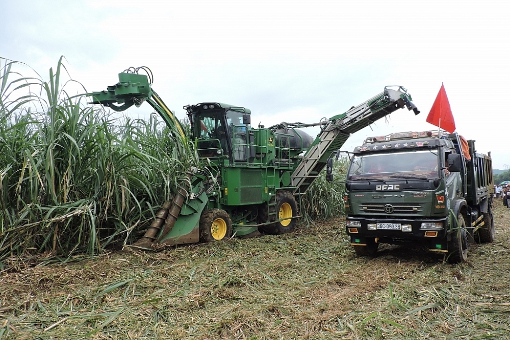 Áp thuế chống bán phá giá đường Thái, đường Việt tăng sức bật