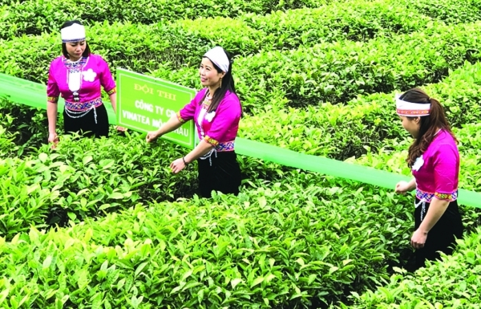 Khởi đầu ấn tượng, xuất khẩu chè vẫn đầy âu lo