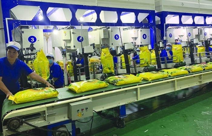 Tháo điểm nghẽn cho sự bền vững của ngành gạo