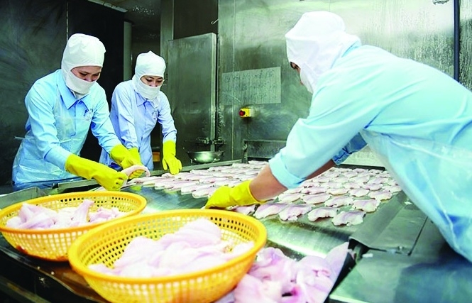 Doanh nghiệp có tâm lý dè dặt khi xuất khẩu sang Mỹ