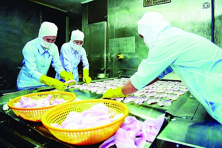 Chế biến thủy sản xuất khẩu tại Công ty Fimex Việt Nam. 	Ảnh: TL