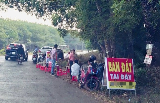 Cò đất” thổi giá, vì đâu?