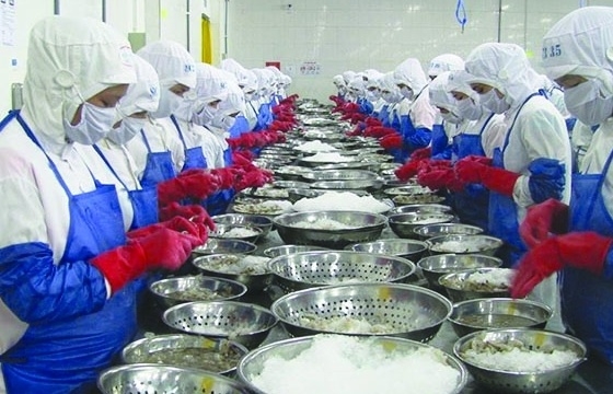 Xuất khẩu nông lâm thủy sản: Đà sụt giảm đang chậm lại