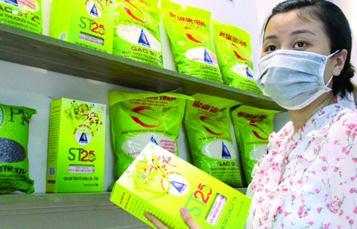 Bảo hộ thương hiệu hàng xuất khẩu: Cần “bắt tay” chặt chẽ