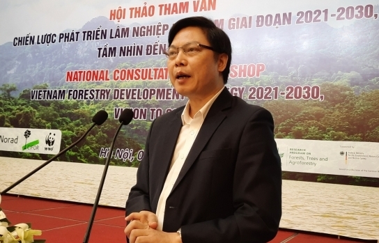 Cân bằng lợi ích là mấu chốt đảm bảo tính bền vững cho xuất khẩu lâm sản