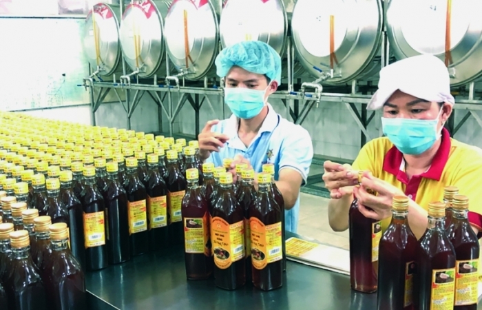 Mật ong khó chồng khó trước nguy cơ Hoa Kỳ áp thuế chống bán phá giá