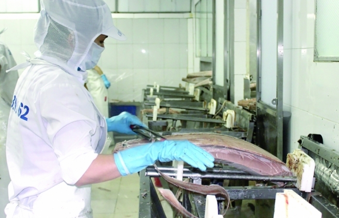 Các mặt hàng thủy sản xuất khẩu chủ lực tăng cao