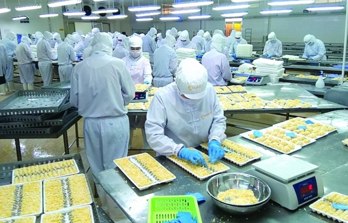 Đảm bảo 100% hồ sơ các lô hàng xuất khẩu có yêu cầu truy xuất được nguồn gốc thủy sản
