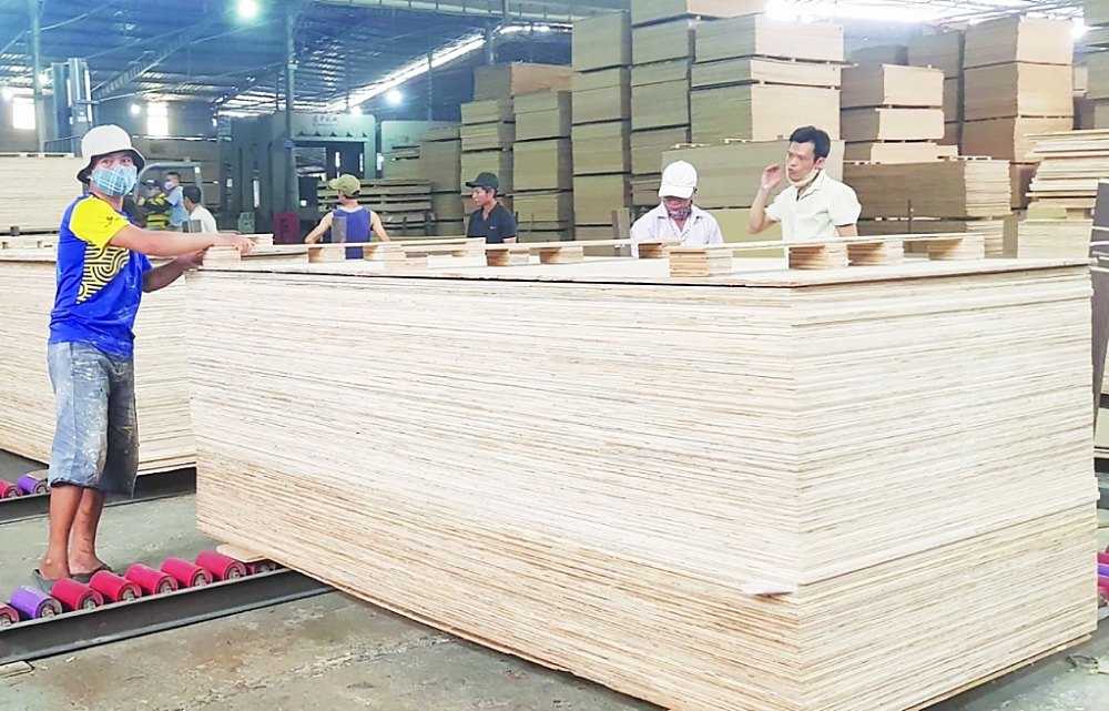 Ngành sản xuất, xuất khẩu gỗ dán của Việt Nam đang có nhiều cơ hội mở rộng thị trường. 	Ảnh: N.Thanh