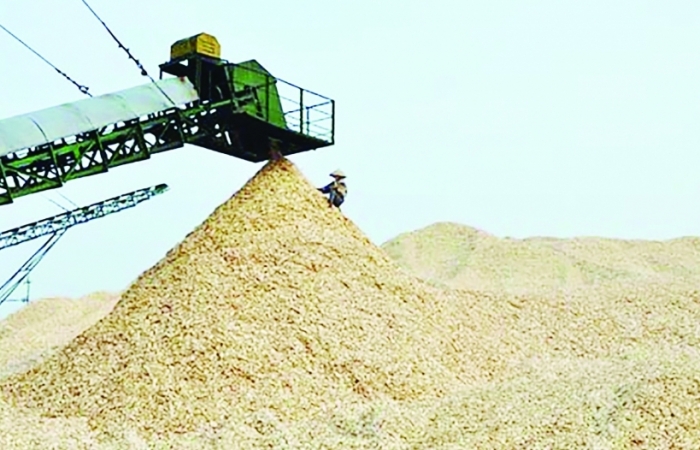 Hỗ trợ thủ tục xuất nhập khẩu mặt hàng dăm gỗ, thạch cao