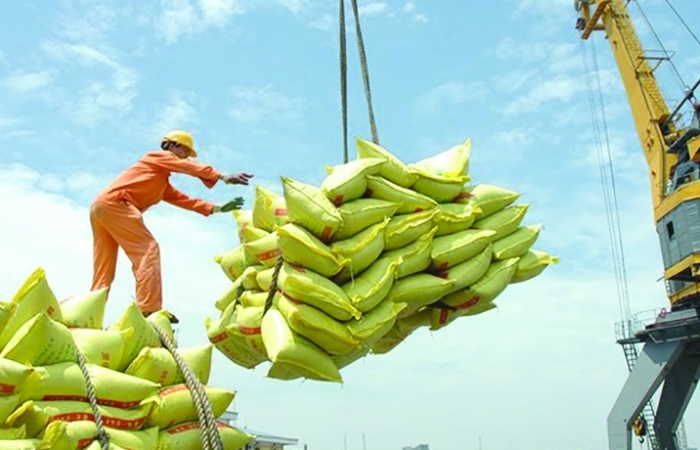 Xuất khẩu gạo khởi sắc hơn trong nửa cuối năm