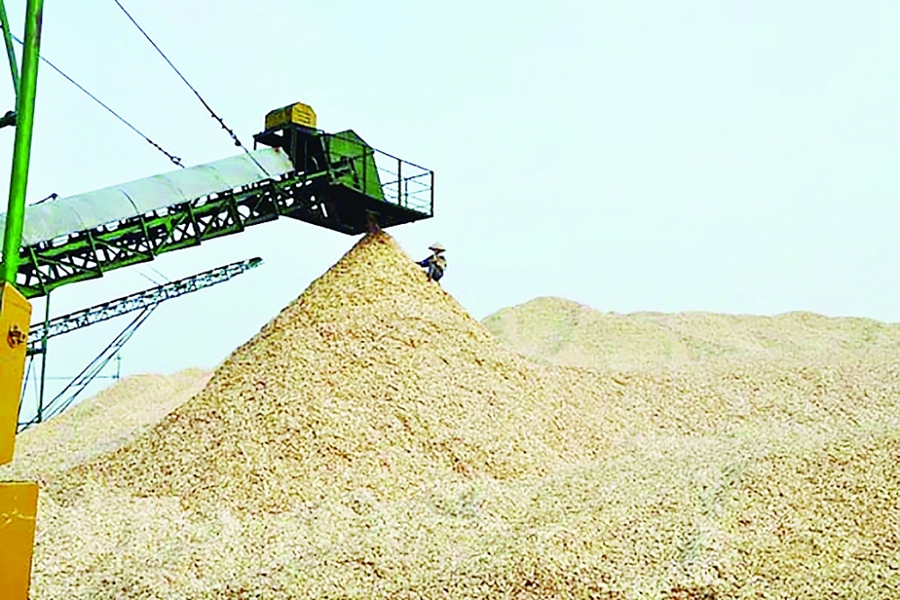 Mặt hàng dăm dỗ xuất khẩu.	Ảnh: ST