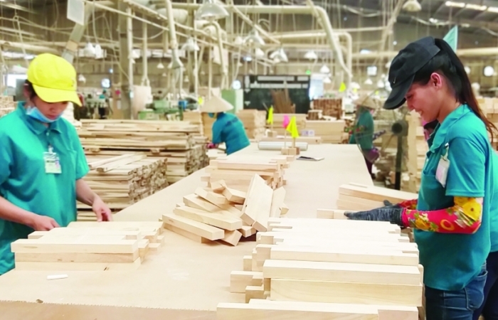 Chính thức cấp giấy phép FLEGT, gỗ Việt “rộng cửa” vào EU