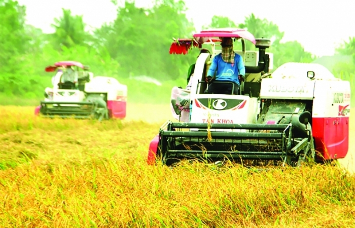 Bài toán tháo gỡ khó khăn cho nông, thuỷ sản Nam bộ, Tây Nguyên