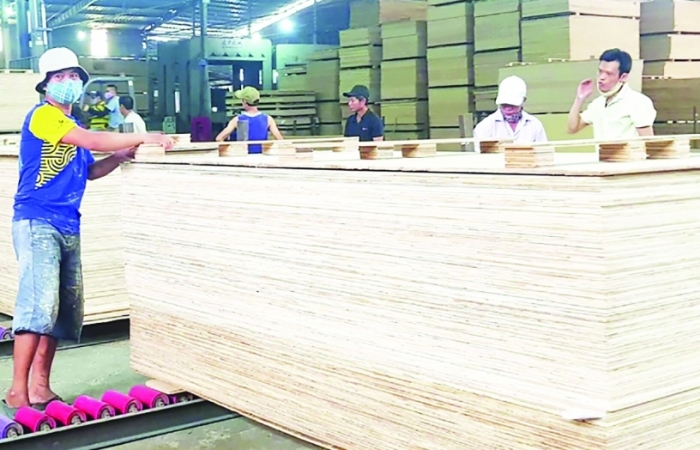 Nhập khẩu gỗ từ Trung Quốc lấn át xuất khẩu