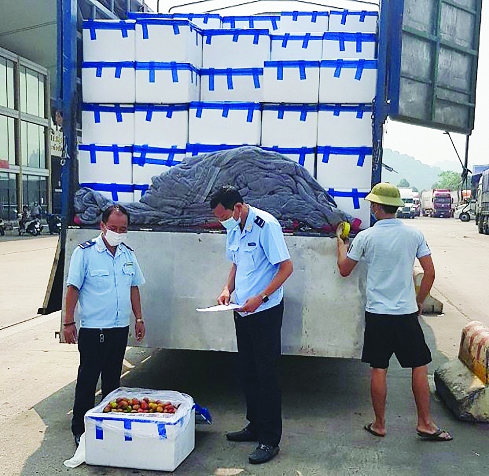 Hình ảnh Hải quan thông quan hàng hóa giữa đại dịch Covid-19