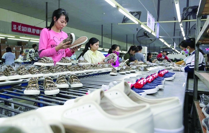 Doanh nghiệp gia tăng tận dụng ưu đãi xuât xứ hàng hóa của EVFTA