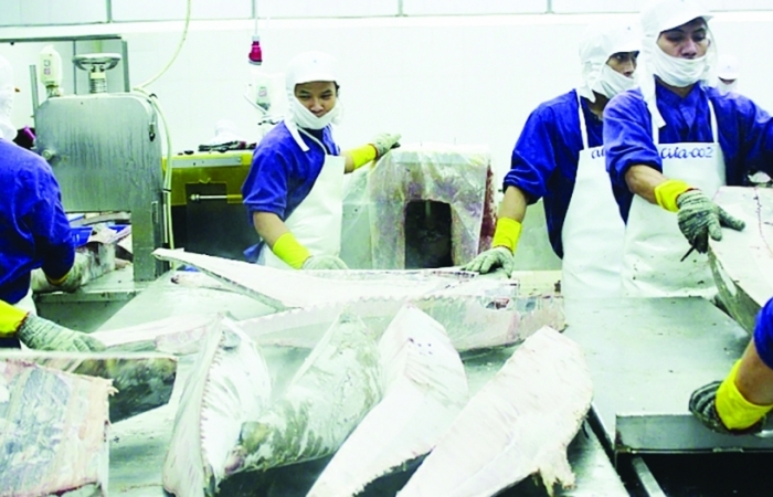 Bức tranh xuất khẩu thủy sản sang EU đang sáng dần