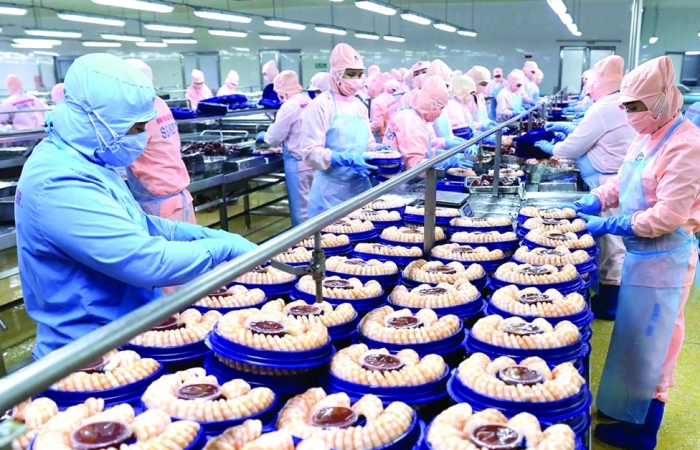 Xuất khẩu tôm sang EU tận hưởng lợi thế từ EVFTA