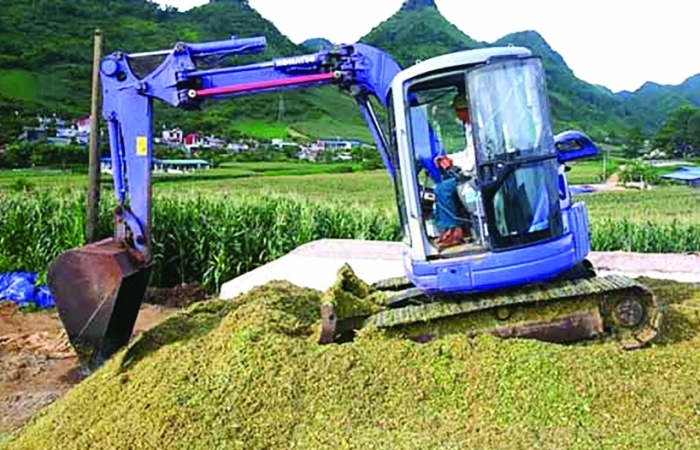 Tìm “chìa khoá” giảm nhập khẩu nguyên liệu thức ăn chăn nuôi
