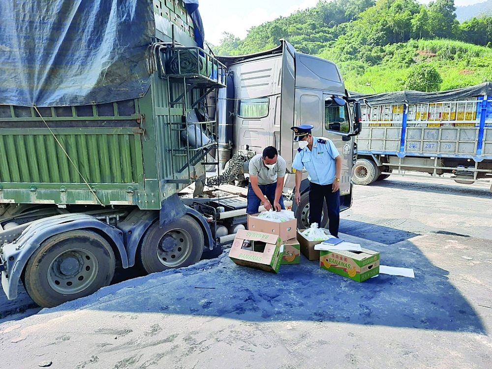 Công chức Chi cục Hải quan cửa khẩu quốc tế Thanh Thủy (Hà Giang) kiểm tra hàng hóa XNK.  Ảnh: Hải quan Thanh Thủy