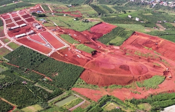 Những đồi chè bị cạo trọc
