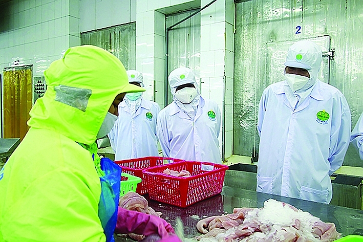 Lãnh đạo tỉnh Đồng Tháp động viên doanh nghiệp chế biến cá tra xuất khẩu. 	Ảnh: K.O