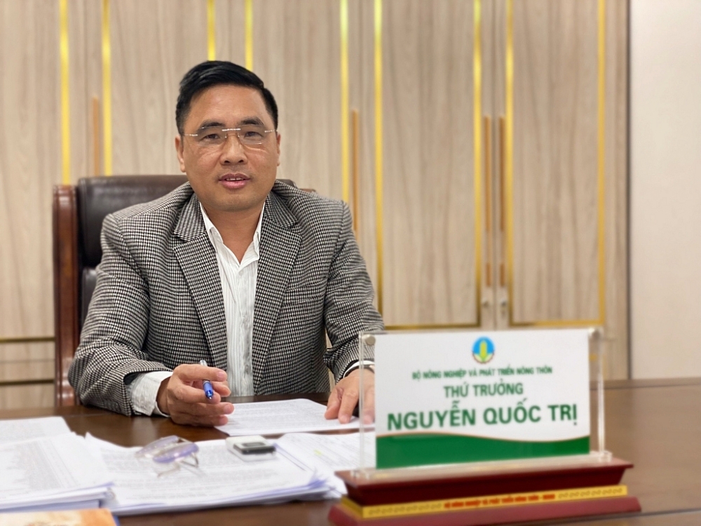 Lập kỷ lục trong 2022, xuất khẩu lâm sản 2023 vẫn còn nỗi lo