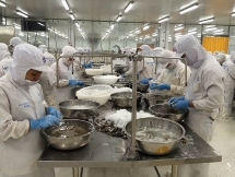 hai quan kien quyet dau tranh ngan chan hanh vi loi dung xuat xu hang hoa viet nam
