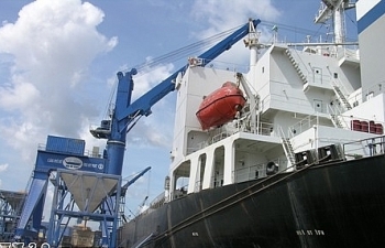 Nhiều giải pháp tăng lượng hàng thông quan tại cụm cảng Cái Mép- Thị Vải