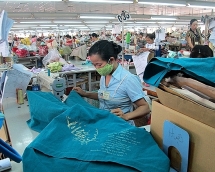 tphcm nhieu doanh nghiep con kho tiep can cac chinh sach ho tro