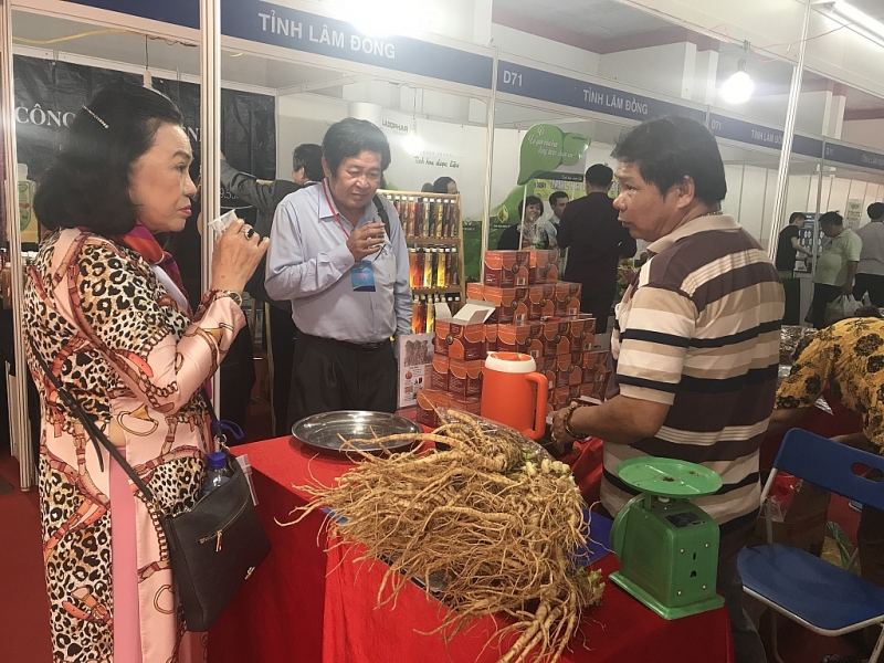 tphcm 500 gian hang se tham gia chuong trinh kich cau nam 2020