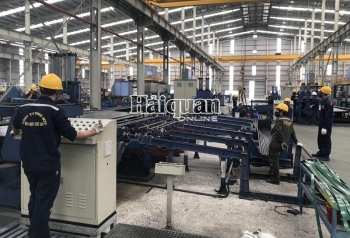 Bà Rịa – Vũng Tàu: Gần 1.100 doanh nghiệp thành lập mới