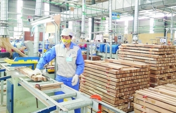 Gỗ Việt đương đầu 3 thách thức cực lớn