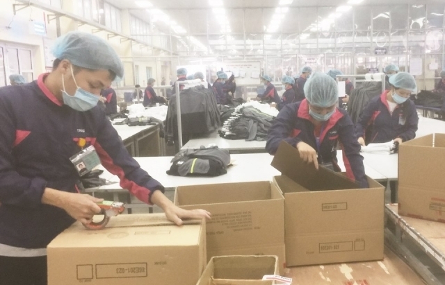 Giải quyết đầy đủ, kịp thời các chế độ bảo hiểm xã hội cho trên 2 triệu lượt người