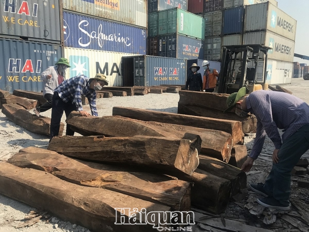 doanh nghiep ma nhap lau 50 container go quy