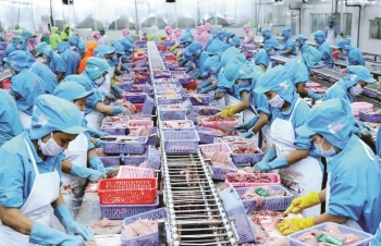 Hàng đông lạnh xuất khẩu “lên ngôi”