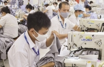nhieu doanh nghiep det may len ke hoach giam loi nhuan nam 2020
