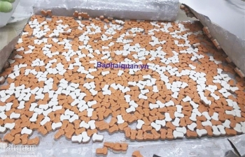 Hải quan trên mặt trận đấu tranh phòng, chống ma túy - Bài 3: Chuyên án mang bí số E318- Lật tẩy hành vi vận chuyển ma túy từ châu Âu về TPHCM