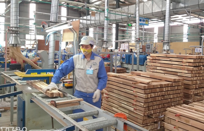 Xuất khẩu gỗ và sản phẩm duy trì vai trò đầu tàu ngành nông nghiệp