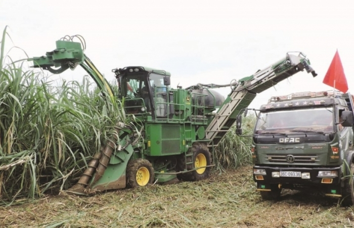 "Ngấm đòn" ATIGA, hàng loạt nhà máy mía đường đóng cửa