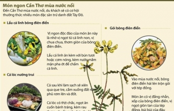 Infographics: Thưởng thức món ngon Cần Thơ mùa nước nổi