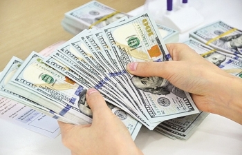Có sức ép về tỷ giá nhưng VND sẽ không giảm giá quá sâu